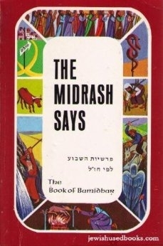 The Midrash Says 4: Book of Bamidbar