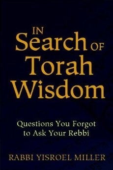 In Search of Torah Wisdom