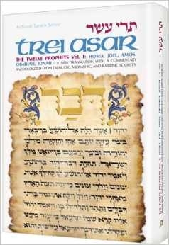 Artscroll Tanach Series: Trei Asar (Twelve Prophets) vol. 1
