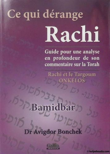 Ce qui dérange Rachi: Bamidbar (Nombres)